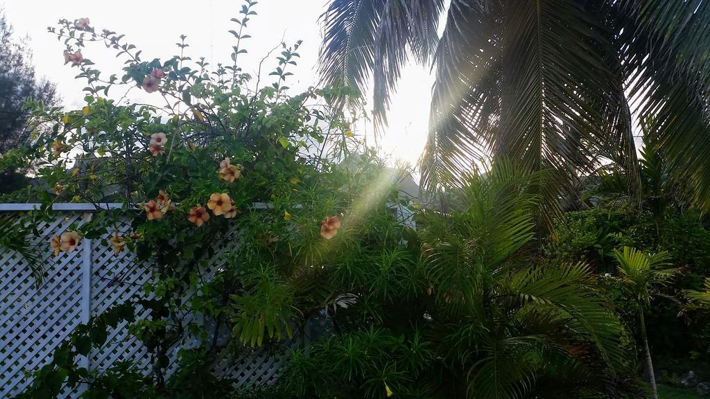 Herons Reef Holiday Apartments Rarotonga Exterior foto