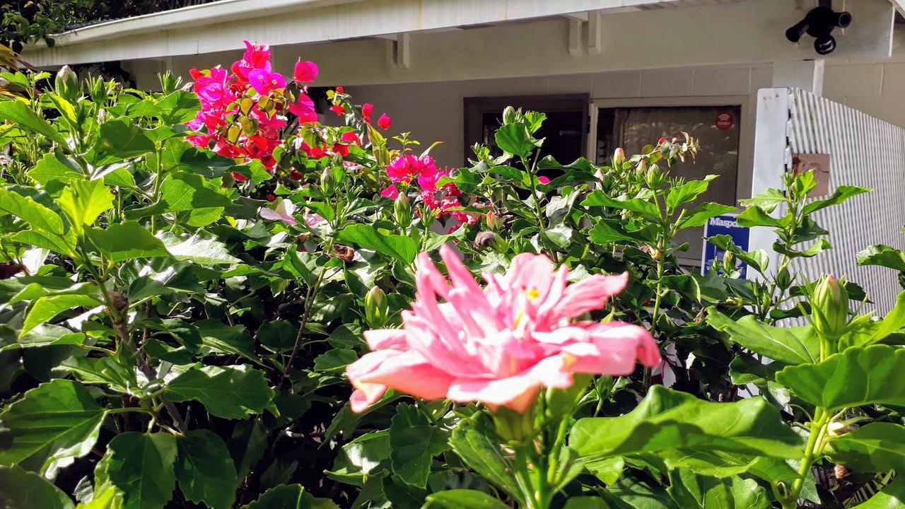 Herons Reef Holiday Apartments Rarotonga Exterior foto