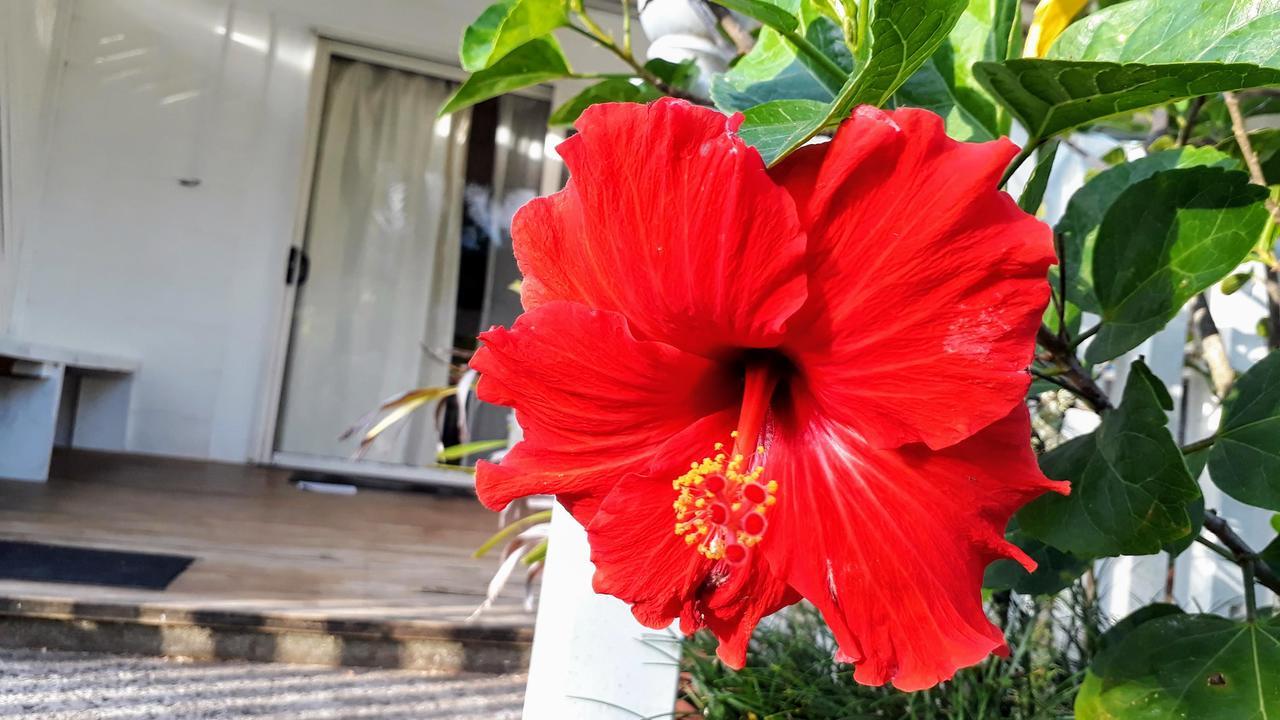 Herons Reef Holiday Apartments Rarotonga Exterior foto
